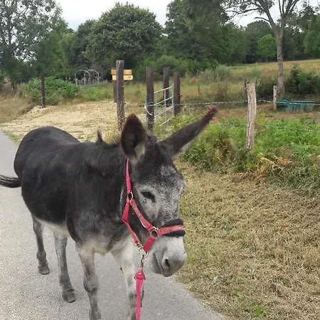 La Vicomterie Lejlighed Ver (Manche)