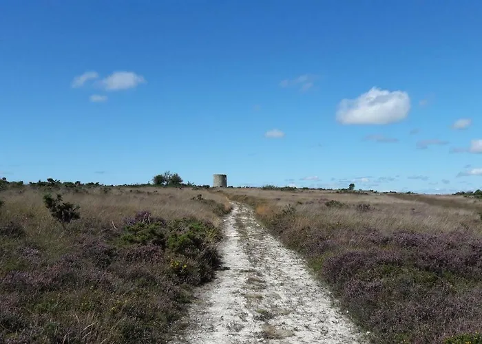 La Vicomterie * Ver (Manche)